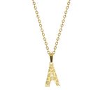 Collar Acero Inoxidable Dorado con Dije Animal Print Letra